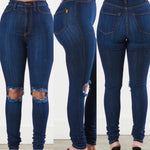 Bodylicious Jeans~DARK STONE